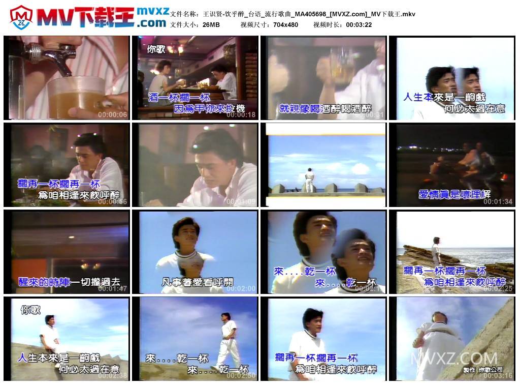 王识贤-饮乎醉_台语_流行歌曲_MA405698